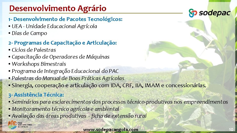 Desenvolvimento Agrário 1 - Desenvolvimento de Pacotes Tecnológicos: • UEA - Unidade Educacional Agrícola