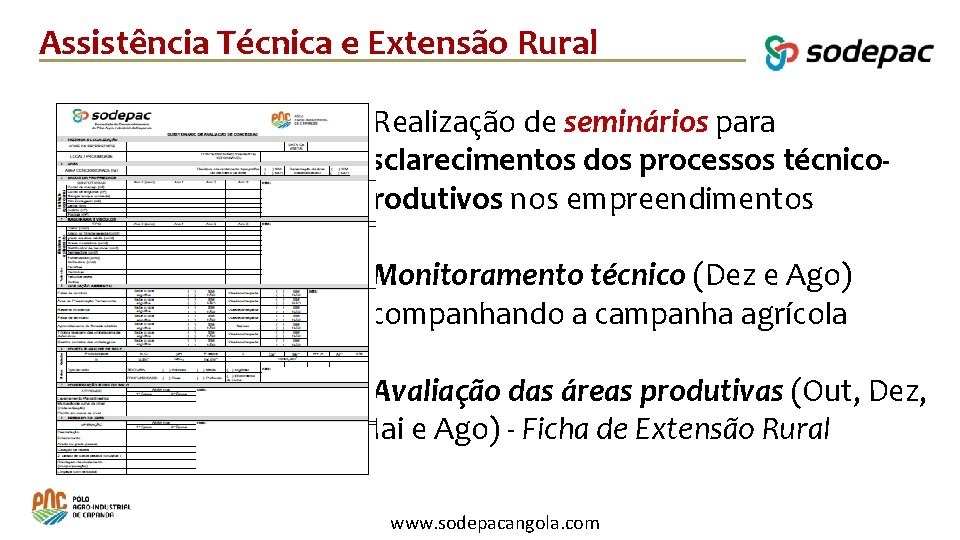 Assistência Técnica e Extensão Rural • Realização de seminários para esclarecimentos dos processos técnicoprodutivos