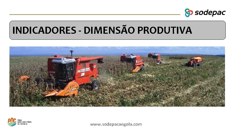 INDICADORES - DIMENSÃO PRODUTIVA Balanço de Actividades www. sodepacangola. com 