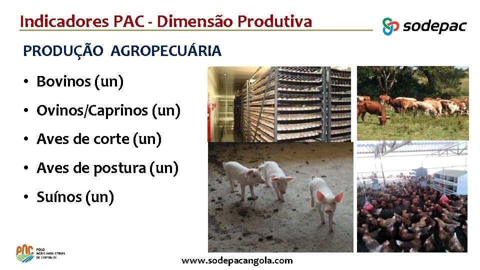 Indicadores PAC - Dimensão Produtiva PRODUÇÃO AGROPECUÁRIA • Bovinos (un) • Ovinos/Caprinos (un) •
