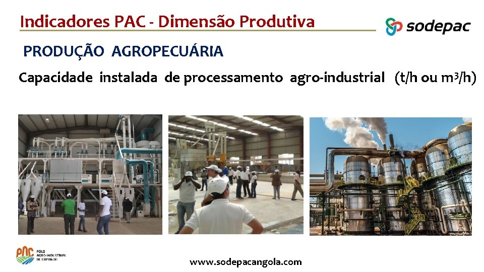 Indicadores PAC - Dimensão Produtiva PRODUÇÃO AGROPECUÁRIA Capacidade instalada de processamento agro-industrial (t/h ou