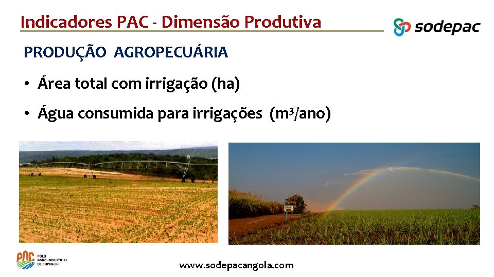 Indicadores PAC - Dimensão Produtiva PRODUÇÃO AGROPECUÁRIA • Área total com irrigação (ha) •