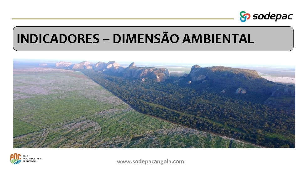 INDICADORES – DIMENSÃO AMBIENTAL Balanço de Actividades www. sodepacangola. com 