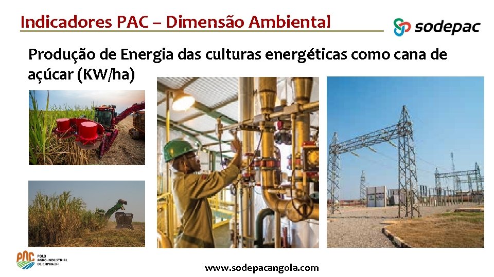 Indicadores PAC – Dimensão Ambiental Produção de Energia das culturas energéticas como cana de