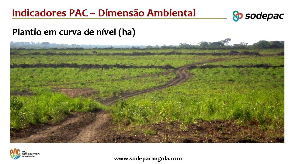 Indicadores PAC – Dimensão Ambiental Plantio em curva de nível (ha) www. sodepacangola. com