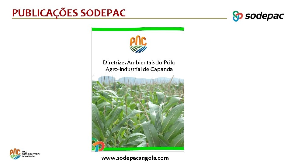 PUBLICAÇÕES SODEPAC Balanço de Actividades www. sodepacangola. com 