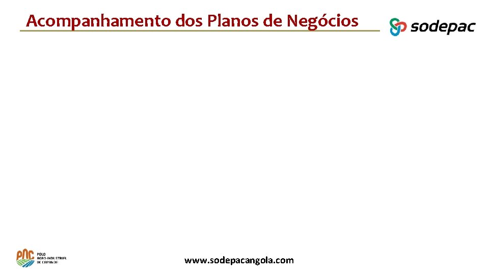 Acompanhamento dos Planos de Negócios www. sodepacangola. com 