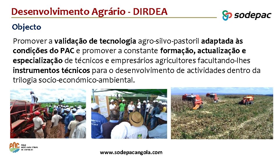 Desenvolvimento Agrário - DIRDEA Objecto Promover a validação de tecnologia agro-silvo-pastoril adaptada às condições