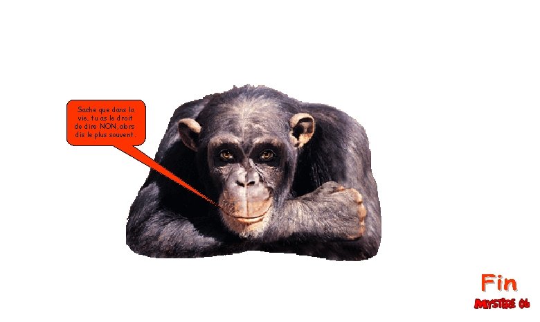 Sache que dans la vie, tu as le droit de dire NON, alors dis