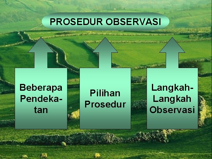 PROSEDUR OBSERVASI Beberapa Pendekatan Pilihan Prosedur Langkah Observasi 