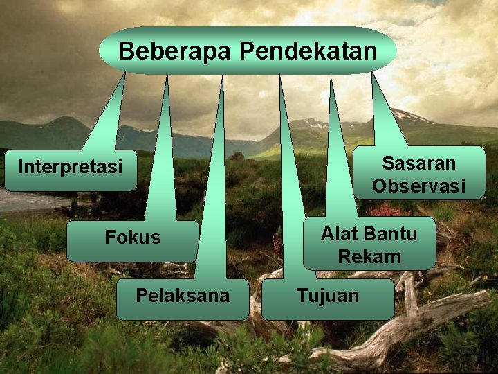 Beberapa Pendekatan Sasaran Observasi Interpretasi Fokus Pelaksana Alat Bantu Rekam Tujuan 