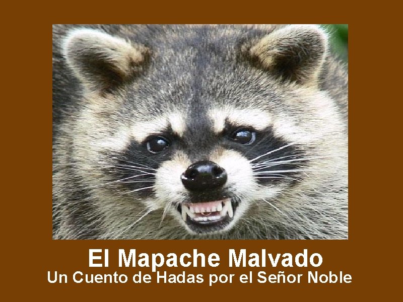 El Mapache Malvado Un Cuento de Hadas por el Señor Noble 