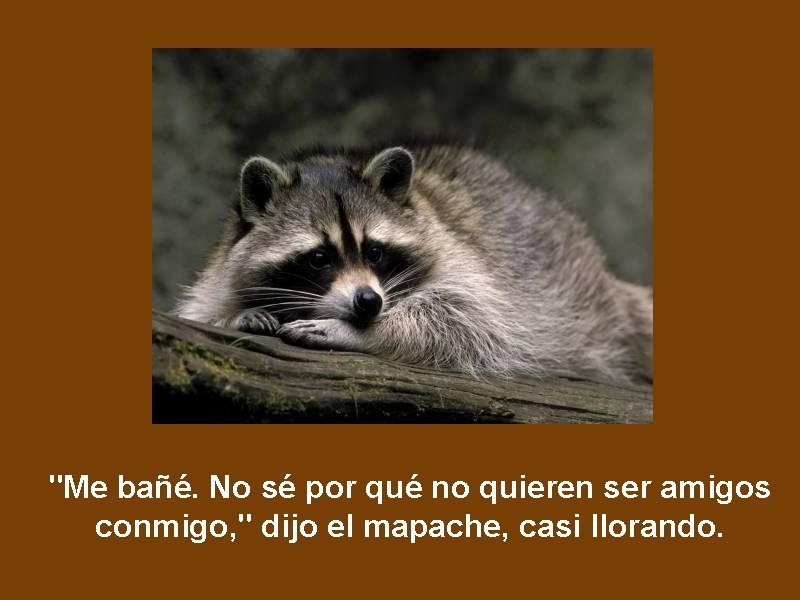 "Me bañé. No sé por qué no quieren ser amigos conmigo, " dijo el