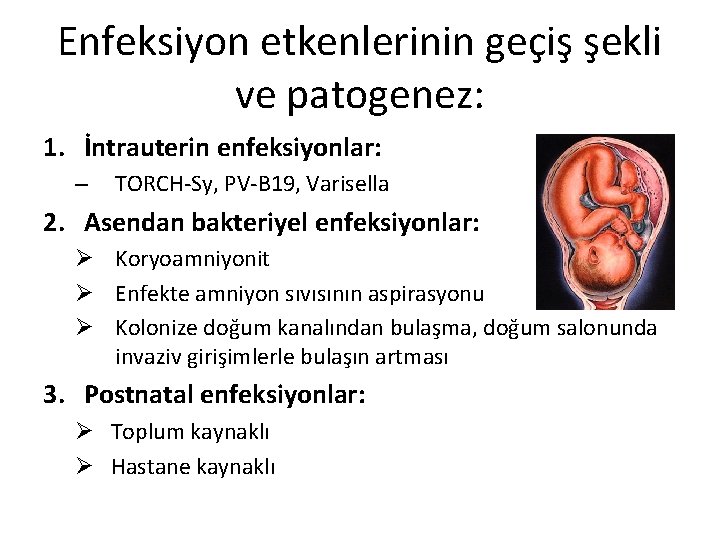 Enfeksiyon etkenlerinin geçiş şekli ve patogenez: 1. İntrauterin enfeksiyonlar: – TORCH-Sy, PV-B 19, Varisella