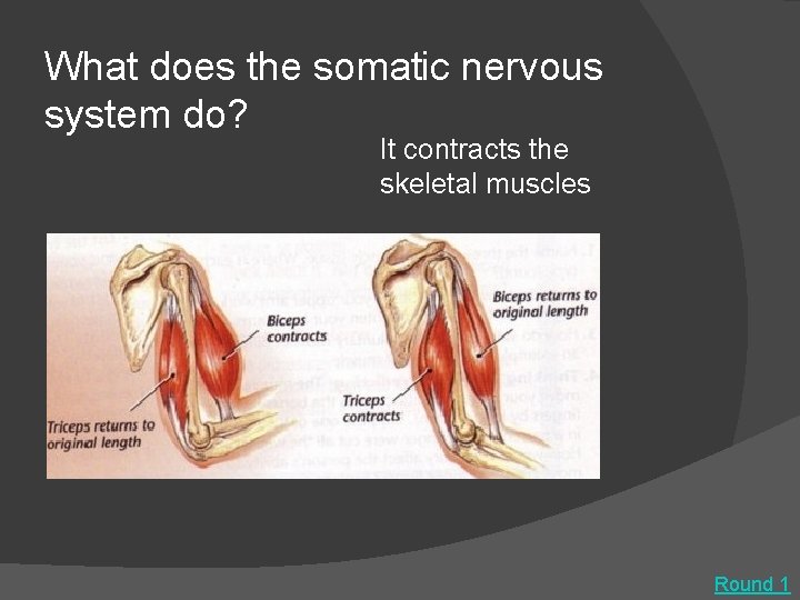 What does the somatic nervous system do? It contracts the skeletal muscles Round 1