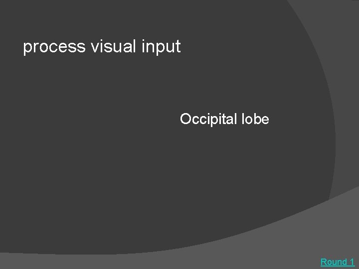 process visual input Occipital lobe Round 1 