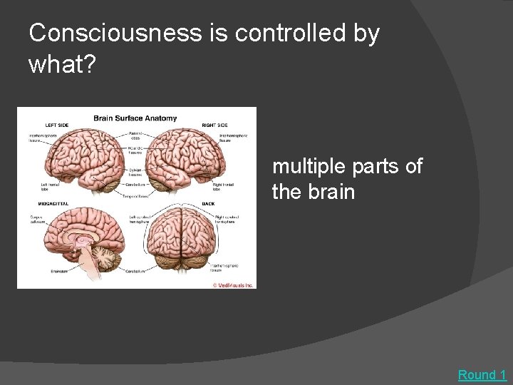 Consciousness is controlled by what? multiple parts of the brain Round 1 