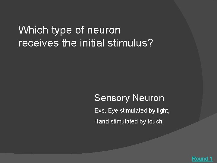 Which type of neuron receives the initial stimulus? Sensory Neuron Exs. Eye stimulated by