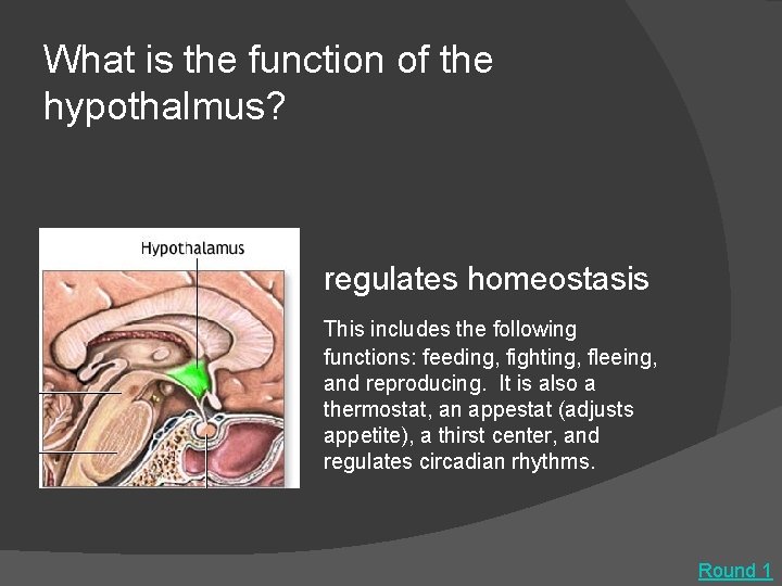 What is the function of the hypothalmus? regulates homeostasis This includes the following functions: