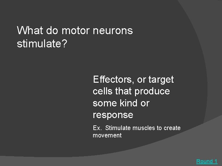 What do motor neurons stimulate? Effectors, or target cells that produce some kind or