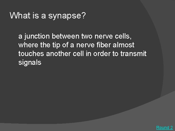 What is a synapse? a junction between two nerve cells, where the tip of