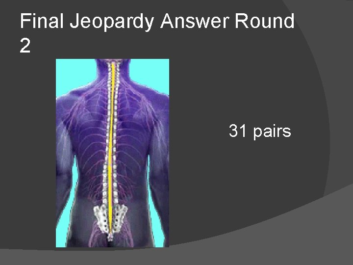 Final Jeopardy Answer Round 2 31 pairs 