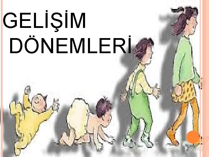 GELİŞİM DÖNEMLERİ 