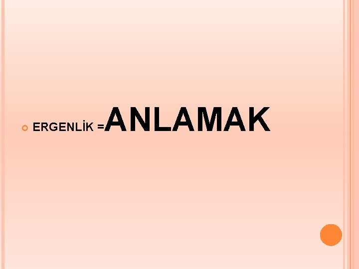  ERGENLİK = ANLAMAK 