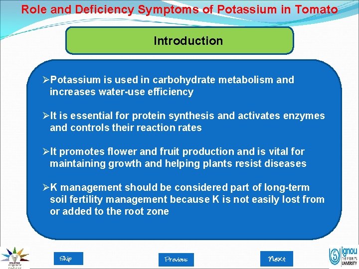 Role and Deficiency Symptoms of Potassium in Tomato Introduction ØPotassium is used in carbohydrate