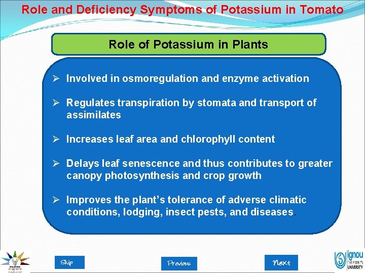 Role and Deficiency Symptoms of Potassium in Tomato Role of Potassium in Plants Ø