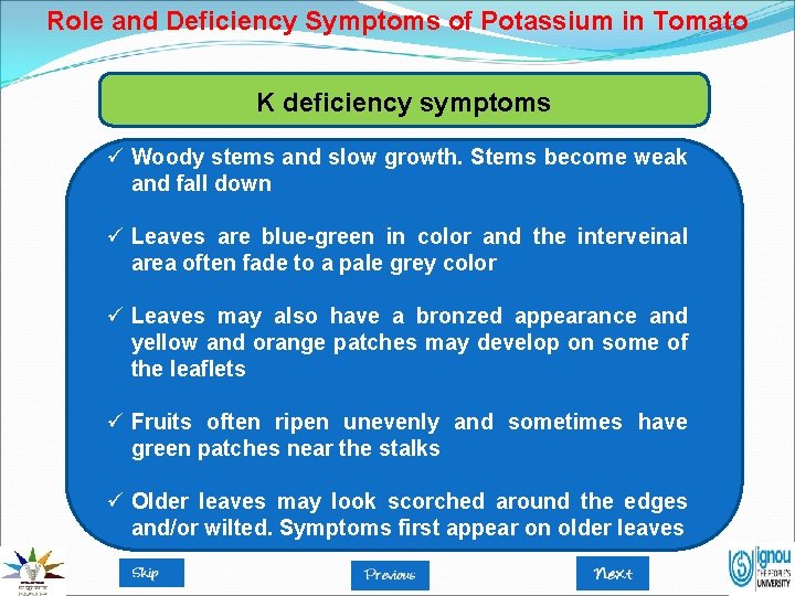 Role and Deficiency Symptoms of Potassium in Tomato K deficiency symptoms ü Woody stems