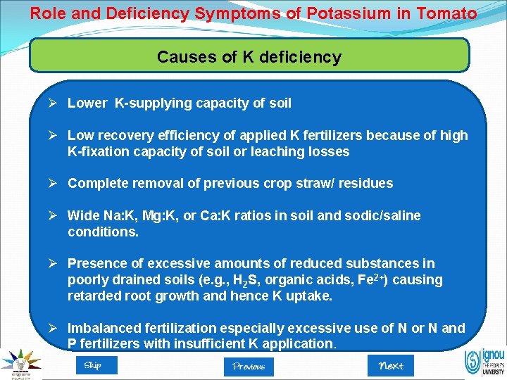 Role and Deficiency Symptoms of Potassium in Tomato Causes of K deficiency Ø Lower