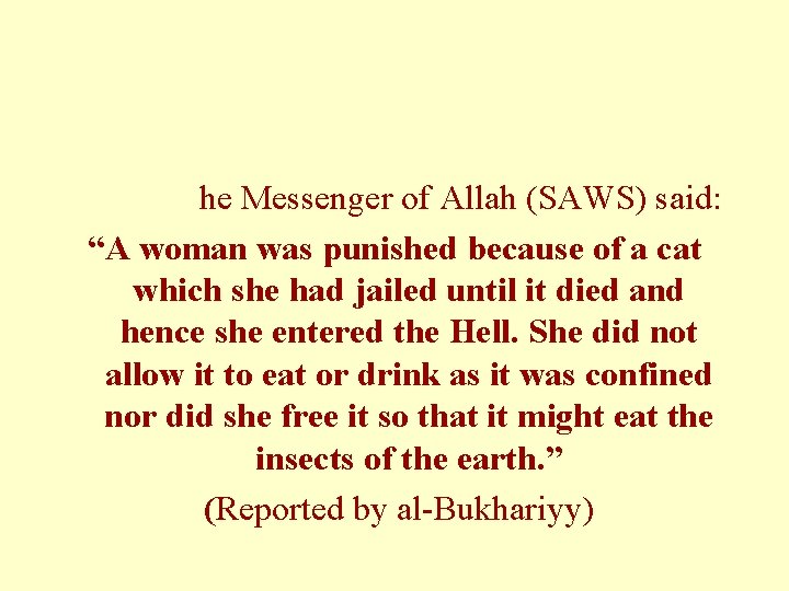 he Messenger of Allah (SAWS) said: “A woman was punished because of a cat