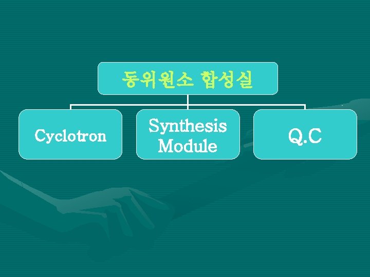 동위원소 합성실 Cyclotron Synthesis Module Q. C 