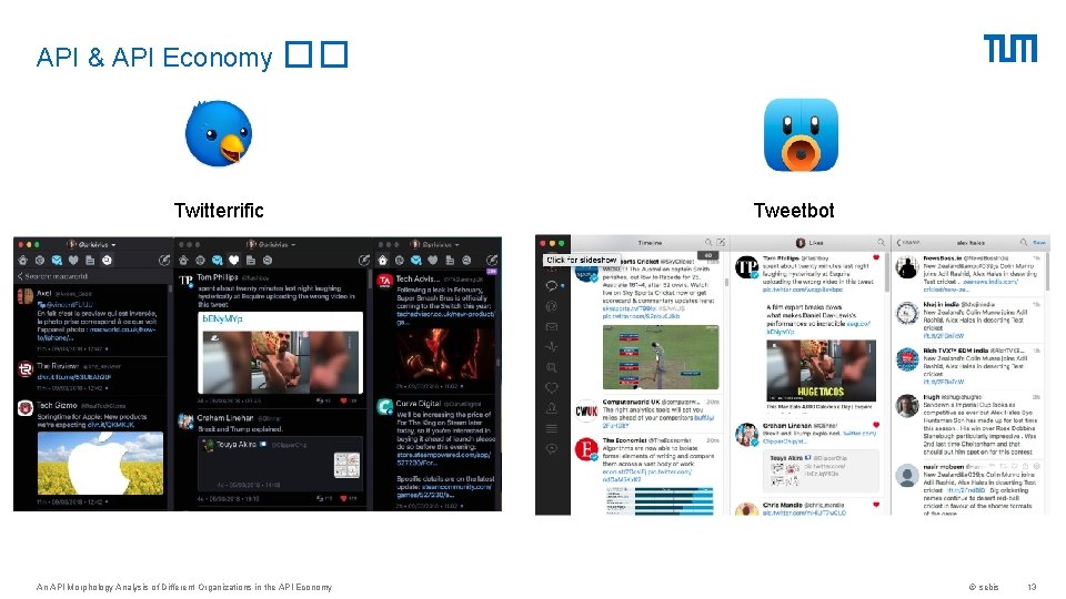 API & API Economy �� Twitterrific An API Morphology Analysis of Different Organizations in
