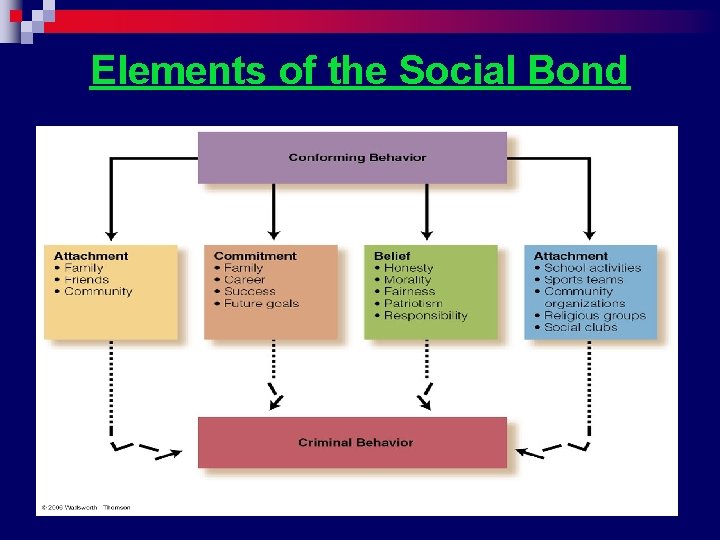 Elements of the Social Bond 