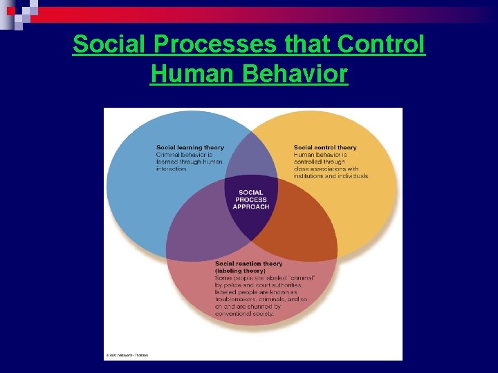 Social Processes that Control Human Behavior 