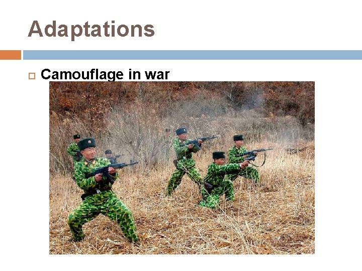 Adaptations Camouflage in war 