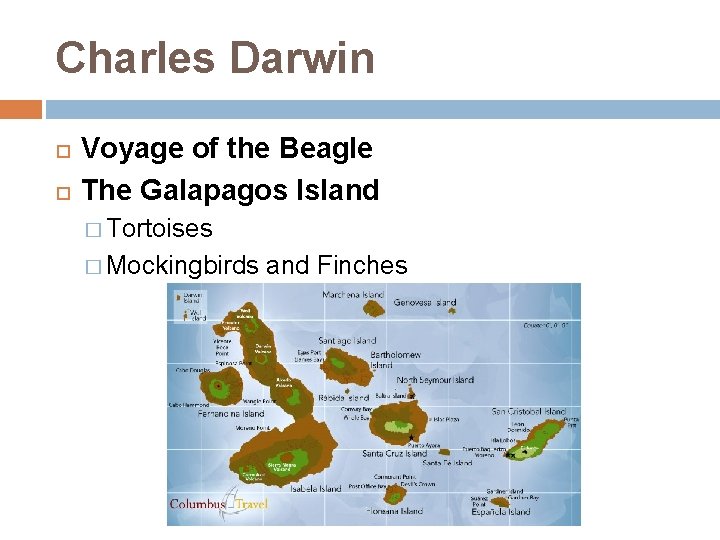 Charles Darwin Voyage of the Beagle The Galapagos Island � Tortoises � Mockingbirds and