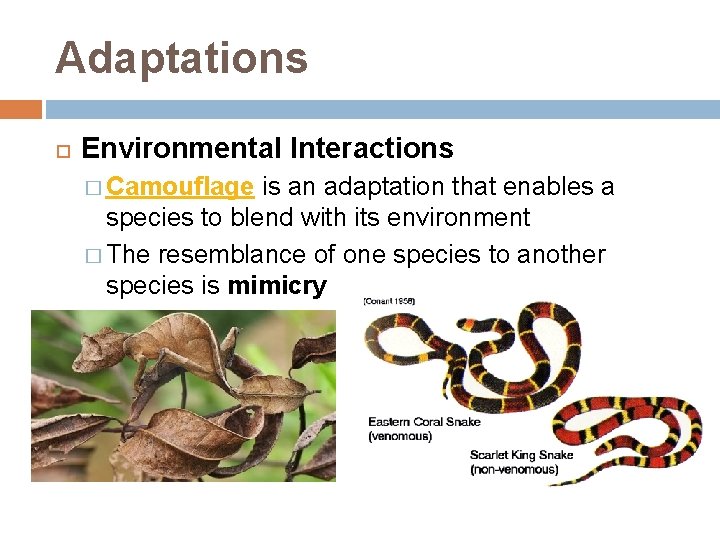 Adaptations Environmental Interactions � Camouflage is an adaptation that enables a species to blend