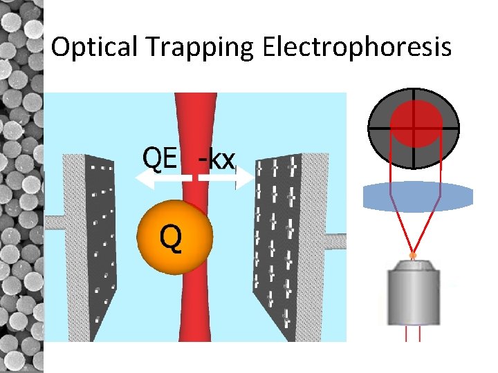 Optical Trapping Electrophoresis 