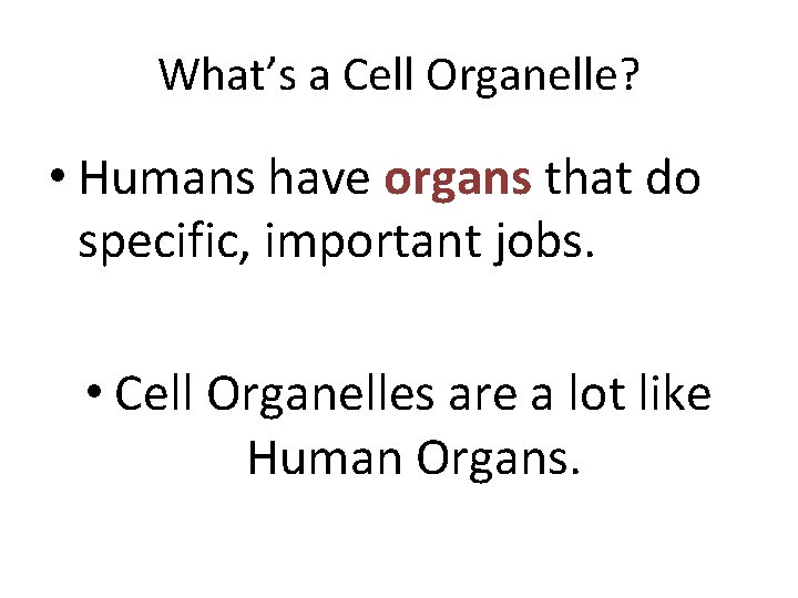 What’s a Cell Organelle? • Humans have organs that do specific, important jobs. •