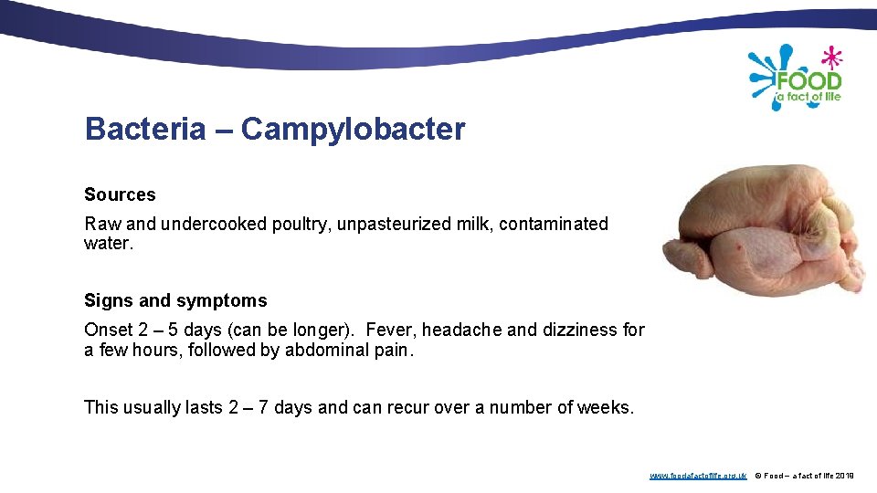 Bacteria – Campylobacter Sources Raw and undercooked poultry, unpasteurized milk, contaminated water. Signs and