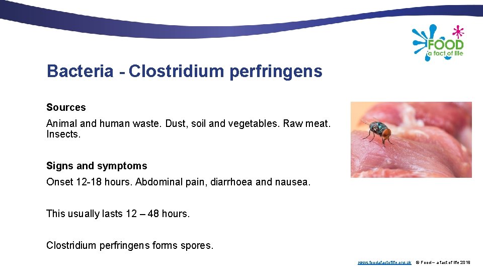 Bacteria - Clostridium perfringens Sources Animal and human waste. Dust, soil and vegetables. Raw