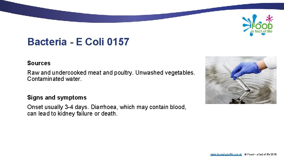 Bacteria - E Coli 0157 Sources Raw and undercooked meat and poultry. Unwashed vegetables.