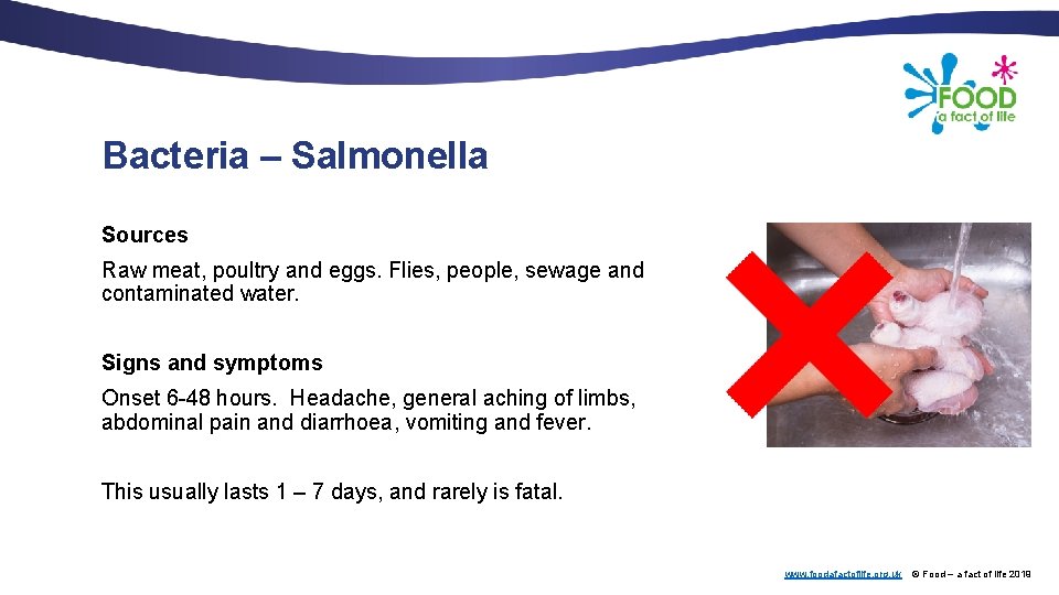 Bacteria – Salmonella Sources Raw meat, poultry and eggs. Flies, people, sewage and contaminated