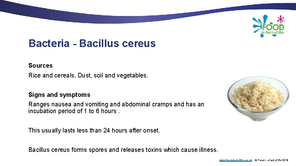 Bacteria - Bacillus cereus Sources Rice and cereals. Dust, soil and vegetables. Signs and