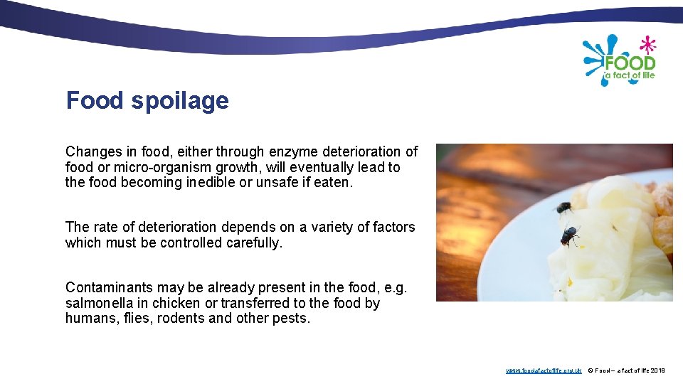 Food spoilage Changes in food, either through enzyme deterioration of food or micro-organism growth,