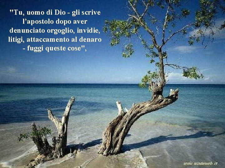 "Tu, uomo di Dio - gli scrive l’apostolo dopo aver denunciato orgoglio, invidie, litigi,