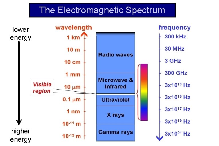The Electromagnetic Spectrum lower energy higher energy 